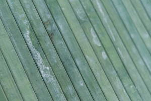 tappeto da cucina bmaboo verde