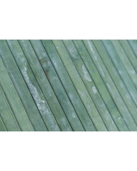 tappeto da cucina bmaboo verde