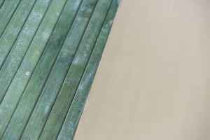 tappeto da cucina bmaboo verde