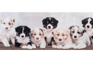 passatoia in velluto