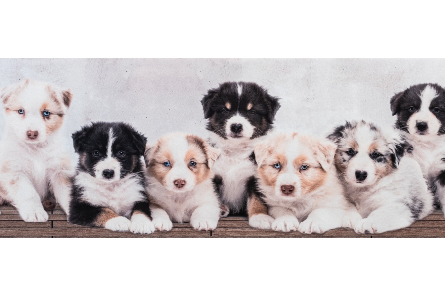 passatoia in velluto