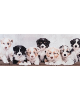 passatoia in velluto