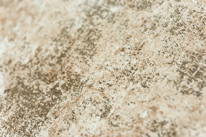 Passatoia in poliestere