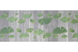 Passatoia in pelle sintetica