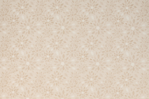 Tovaglia Plastificata Lavabile