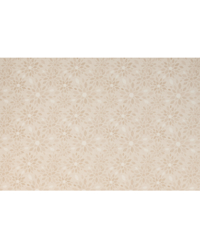 Tovaglia Plastificata Lavabile