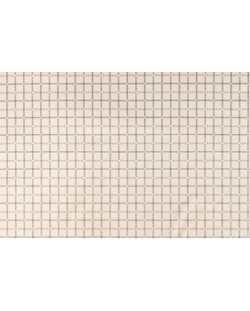 Tovaglia Plastificata Lavabile