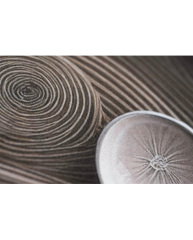 Passatoia in velluto