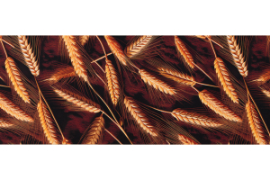 Passatoia in velluto