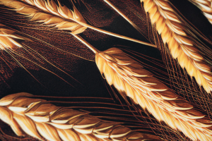 Passatoia in velluto