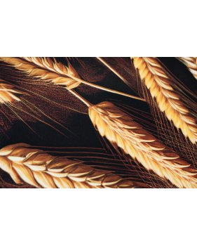 Passatoia in velluto