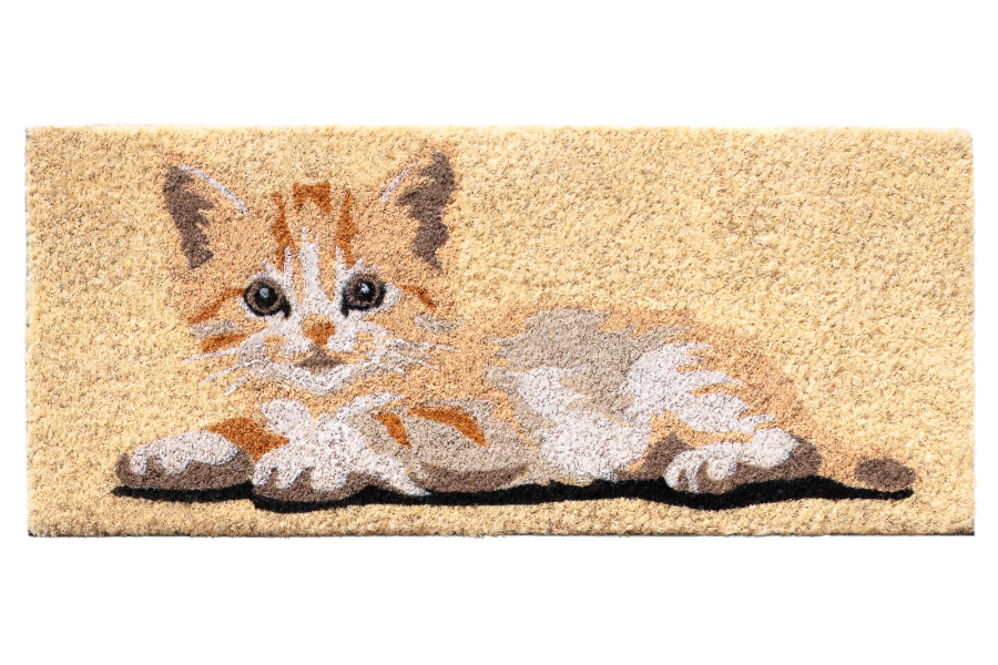 BUDAPEST - Zerbino Intercambiabile - Gatto