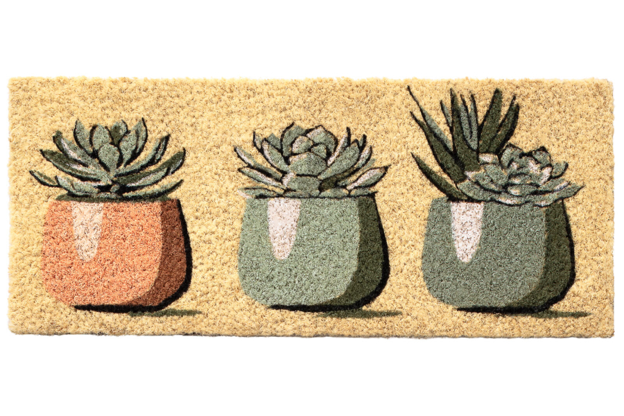 BUDAPEST - Zerbino Intercambiabile - Cactus