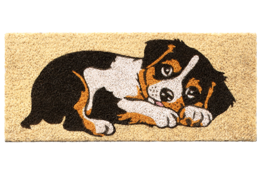 BUDAPEST - Zerbino Intercambiabile - Cane