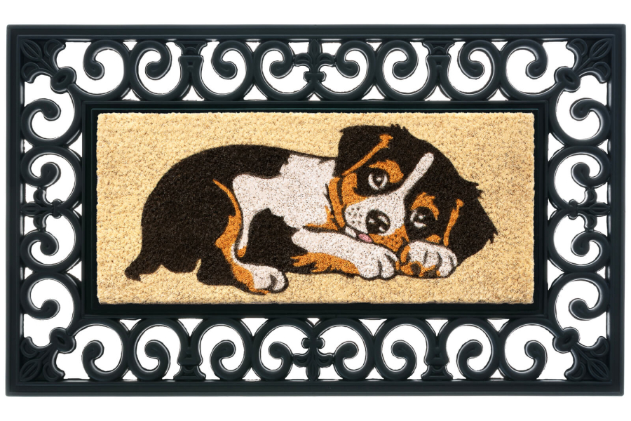 BUDAPEST - Zerbino Intercambiabile